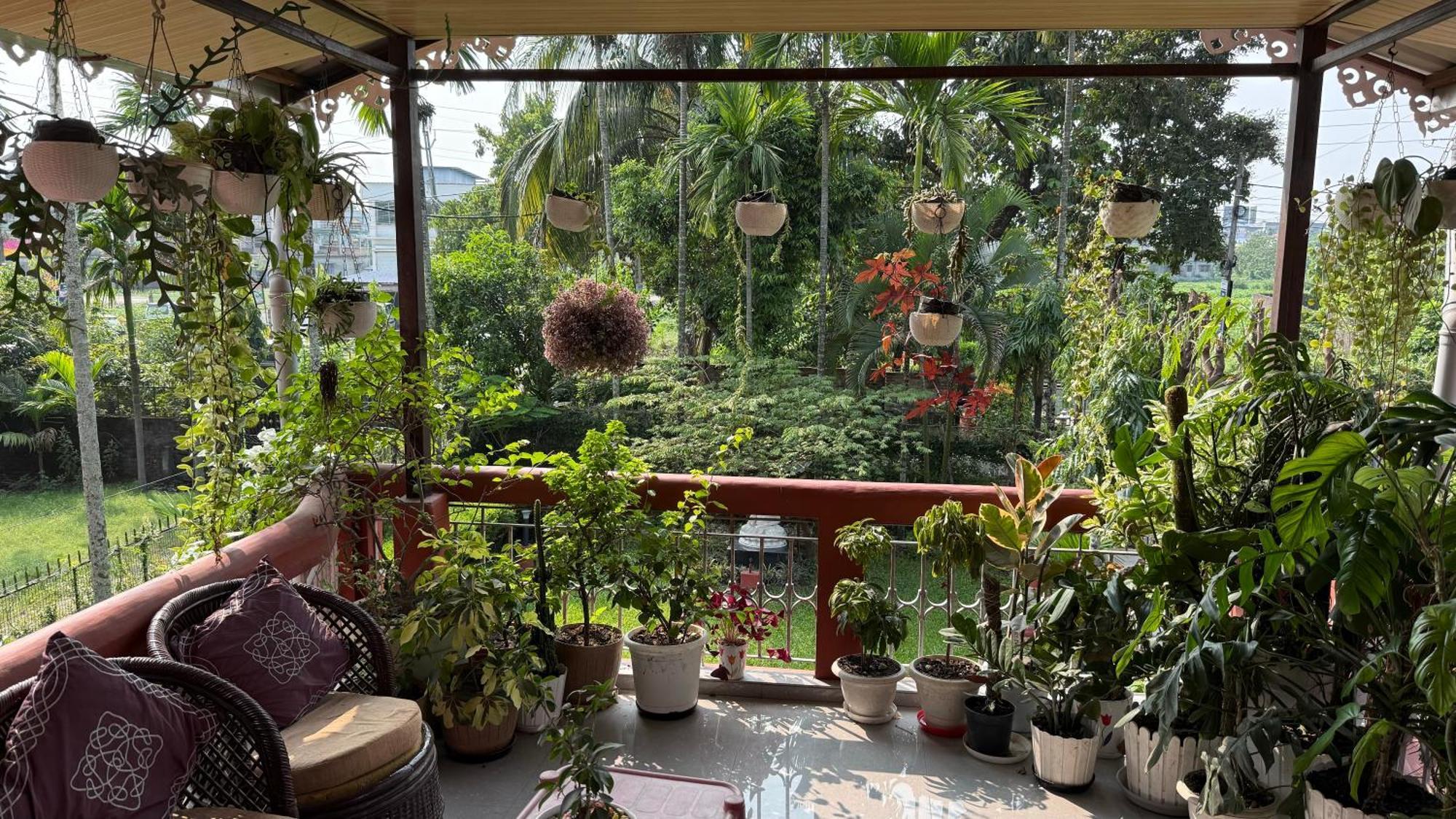 Newa House *